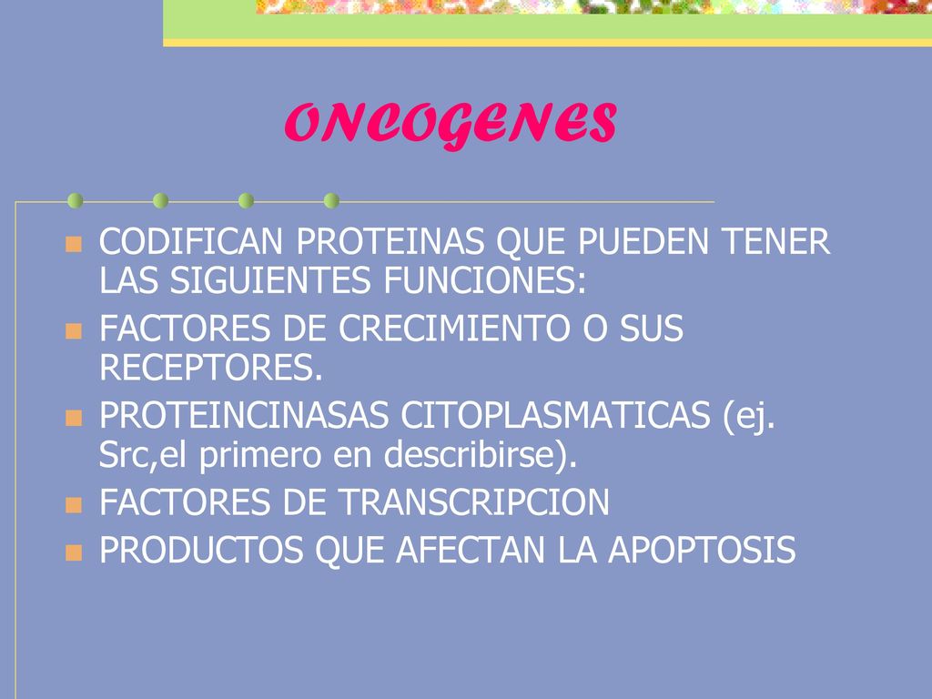 ONCOGENES CODIFICAN PROTEINAS QUE PUEDEN TENER LAS SIGUIENTES FUNCIONES: FACTORES DE CRECIMIENTO O SUS RECEPTORES.
