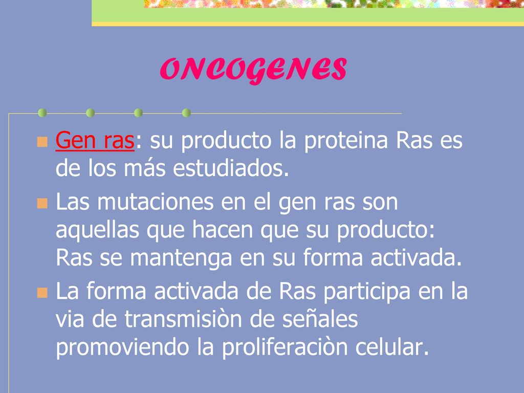 ONCOGENES Gen ras: su producto la proteina Ras es de los más estudiados.
