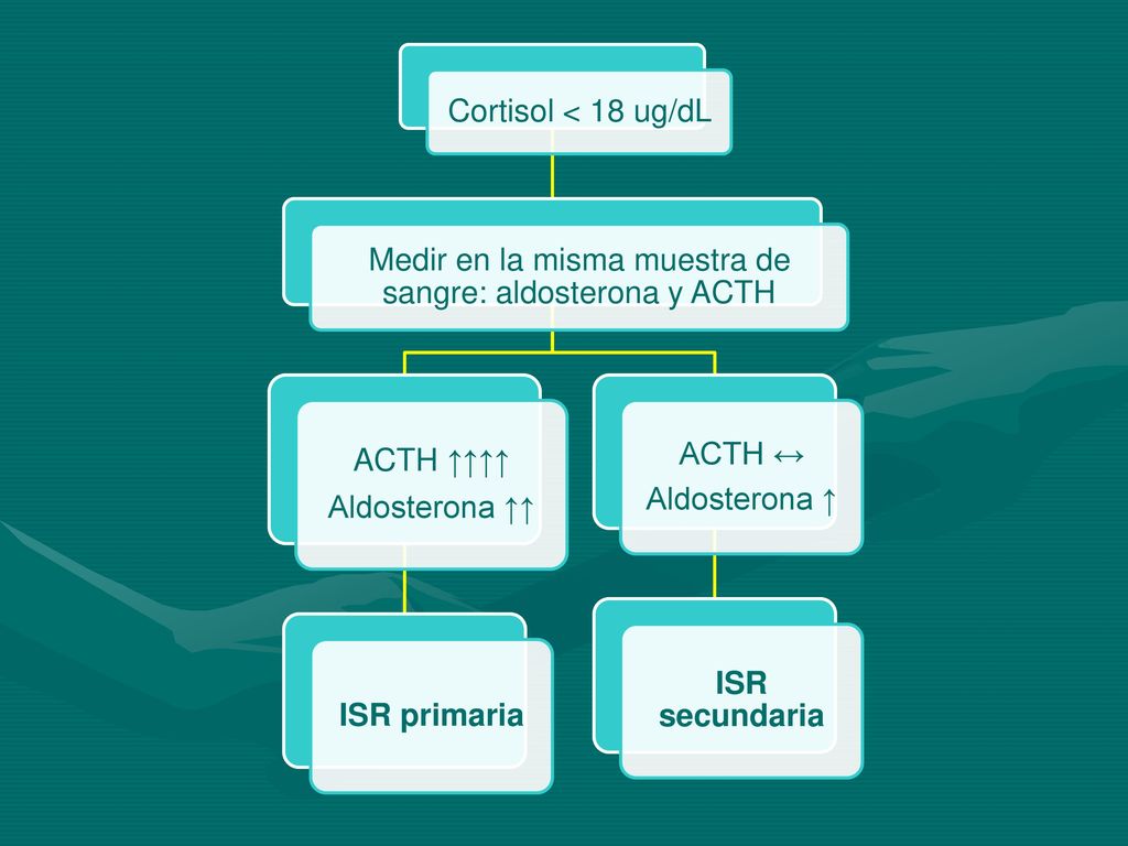 Medir en la misma muestra de sangre: aldosterona y ACTH