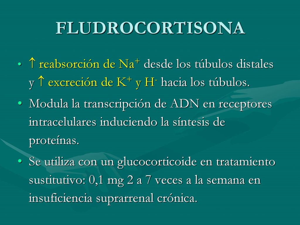 FLUDROCORTISONA  reabsorción de Na+ desde los túbulos distales y  excreción de K+ y H- hacia los túbulos.