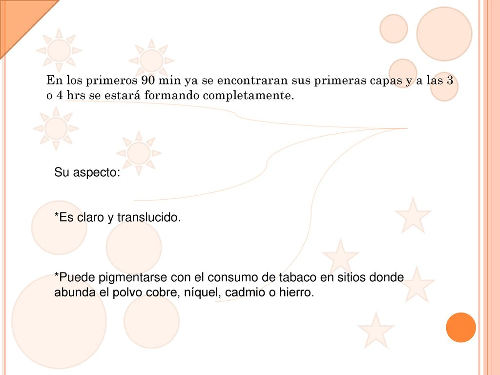 En los primeros 90 min ya se encontraran sus primeras capas y a las 3 o 4 hrs se estará formando completamente.