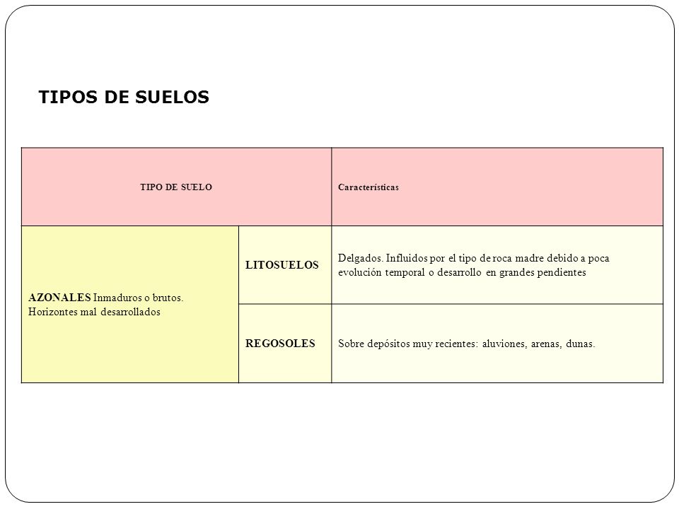 TIPOS DE SUELOS TIPO DE SUELO. Características. AZONALES Inmaduros o brutos. Horizontes mal desarrollados.