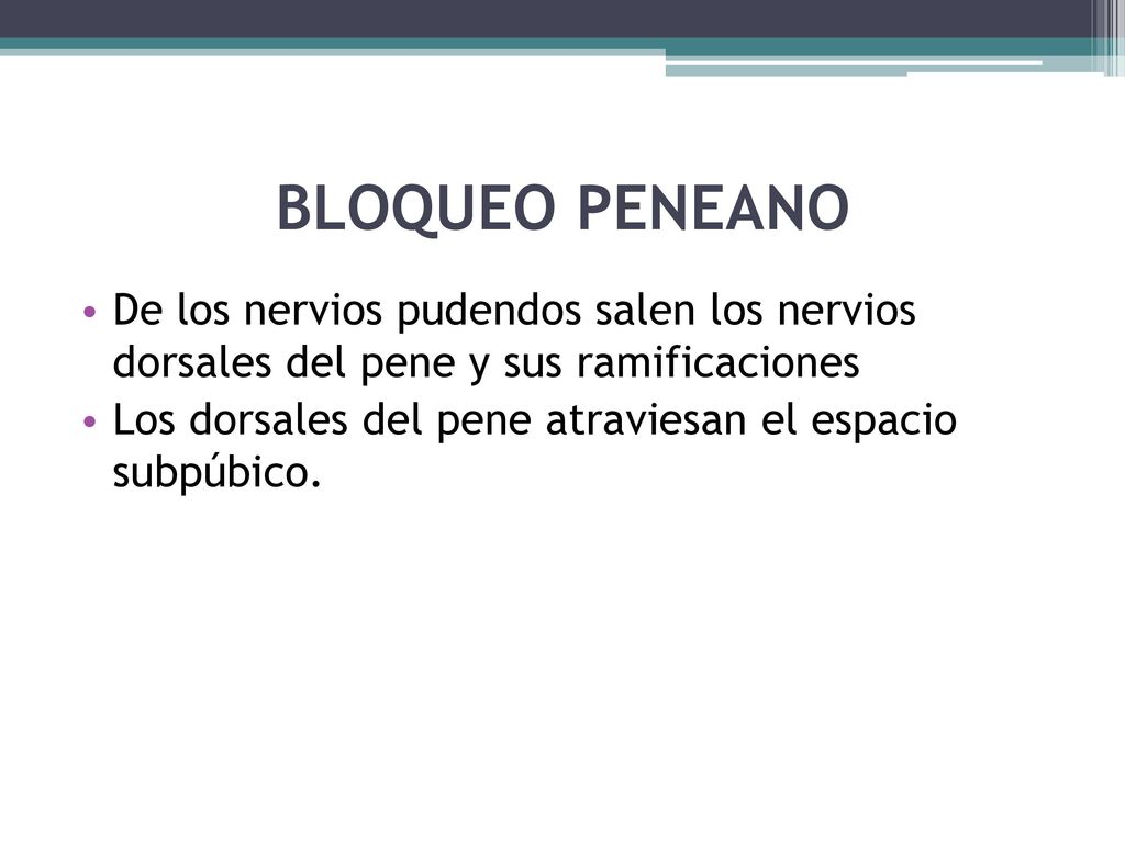 BLOQUEO PENEANO De los nervios pudendos salen los nervios dorsales del pene y sus ramificaciones.