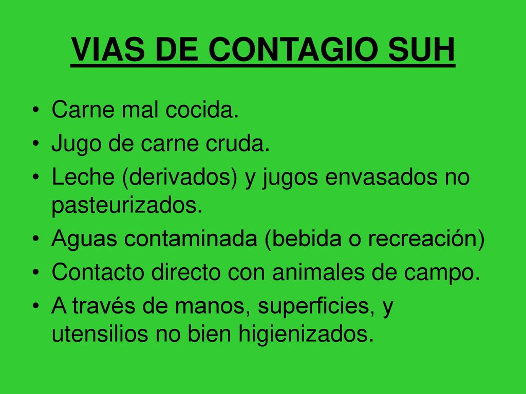 VIAS DE CONTAGIO SUH Carne mal cocida. Jugo de carne cruda.