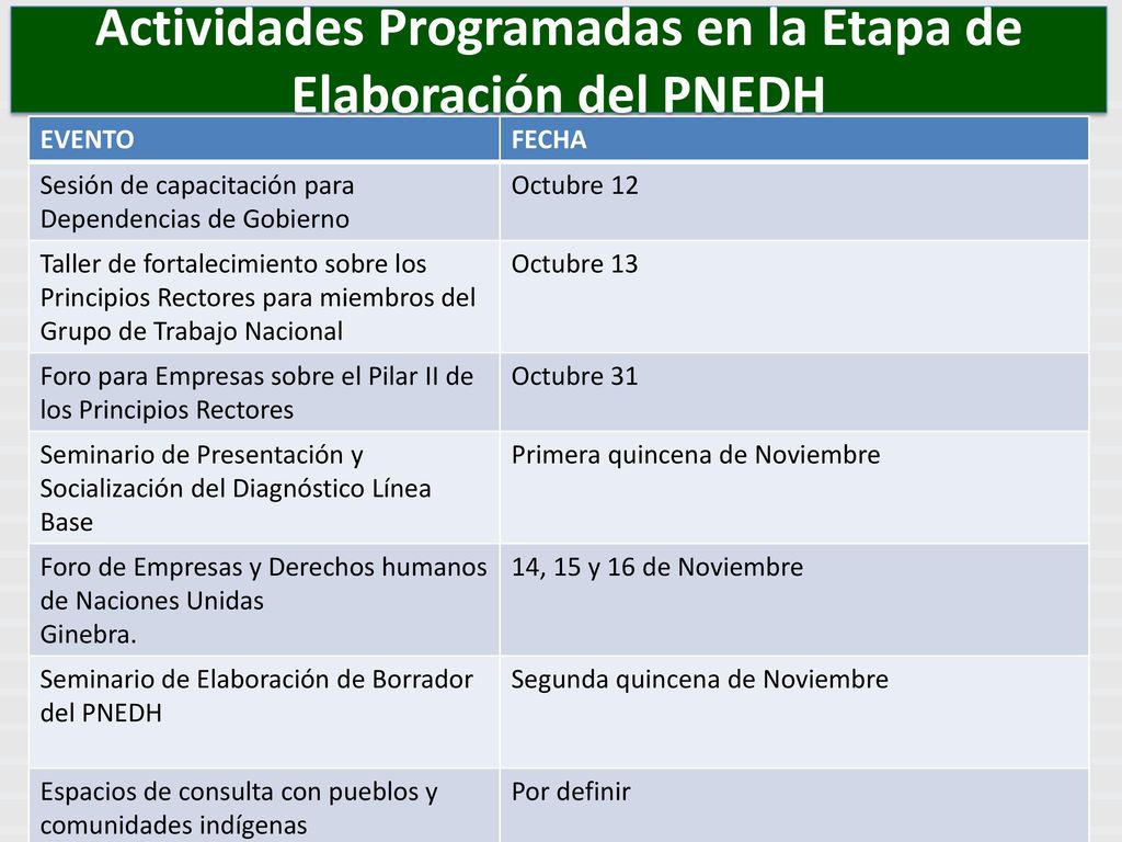Actividades Programadas en la Etapa de Elaboración del PNEDH