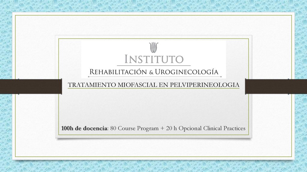 100h de docencia: 80 Course Program + 20 h Opcional Clinical Practices