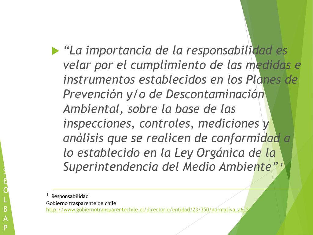 La importancia de la responsabilidad es velar por el cumplimiento de las medidas e instrumentos establecidos en los Planes de Prevención y/o de Descontaminación Ambiental, sobre la base de las inspecciones, controles, mediciones y análisis que se realicen de conformidad a lo establecido en la Ley Orgánica de la Superintendencia del Medio Ambiente ¹