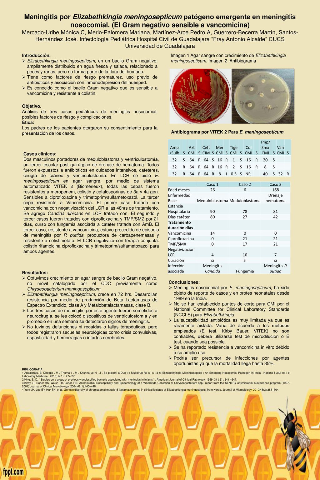 Meningitis por Elizabethkingia meningosepticum patógeno emergente en meningitis nosocomial. (El Gram negativo sensible a vancomicina) Mercado-Uribe Mónica C, Merlo-Palomera Mariana, Martínez-Arce Pedro A, Guerrero-Becerra Martín, Santos-Hernández José. Infectología Pediátrica Hospital Civil de Guadalajara Fray Antonio Alcalde CUCS Universidad de Guadalajara