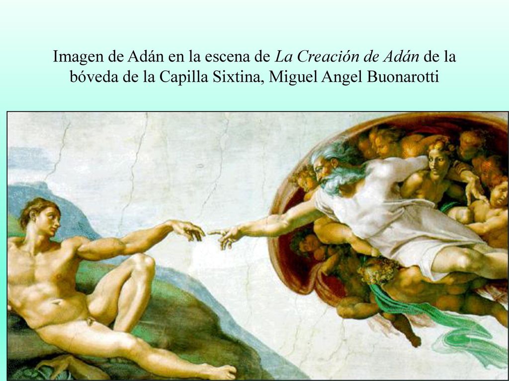 Imagen de Adán en la escena de La Creación de Adán de la bóveda de la Capilla Sixtina, Miguel Angel Buonarotti