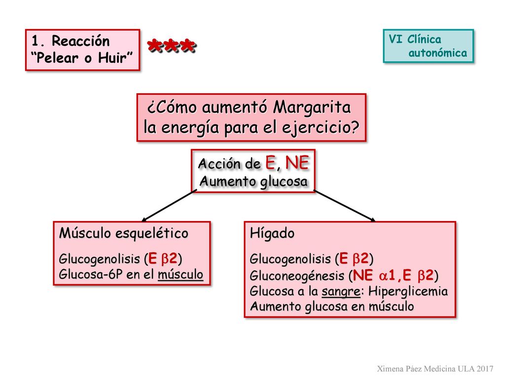 *** ¿Cómo aumentó Margarita la energía para el ejercicio 1. Reacción