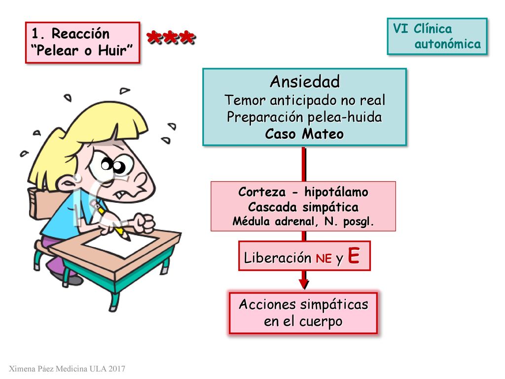 *** Ansiedad 1. Reacción Pelear o Huir Temor anticipado no real
