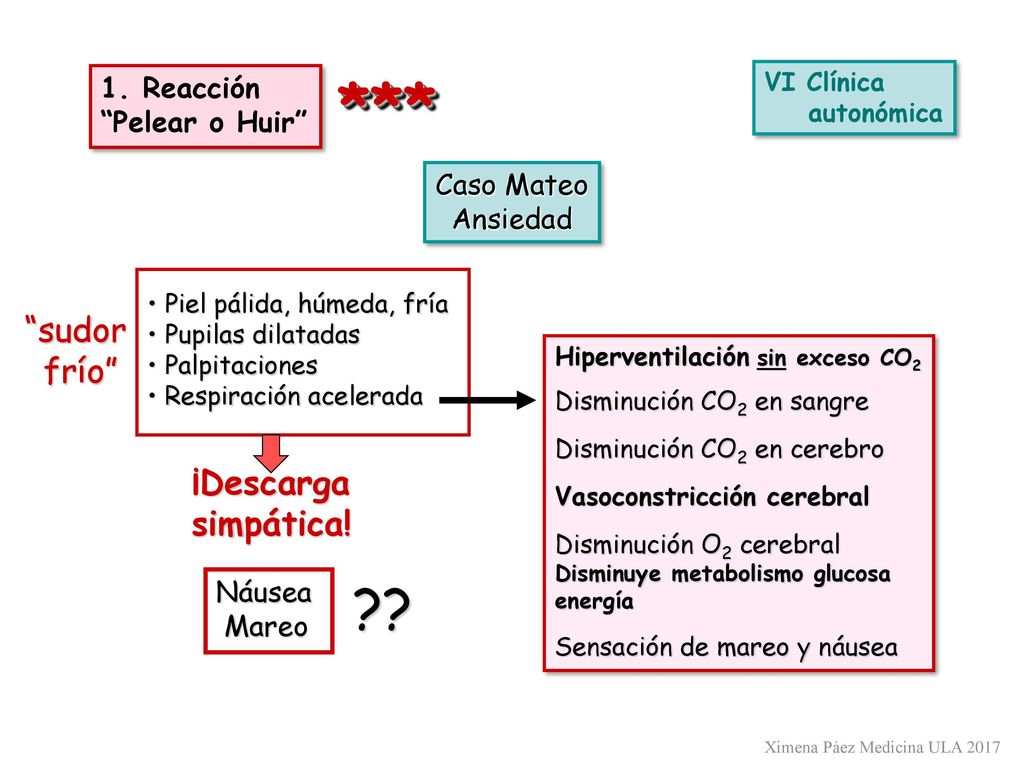 *** sudor frío ¡Descarga simpática! 1. Reacción Pelear o Huir