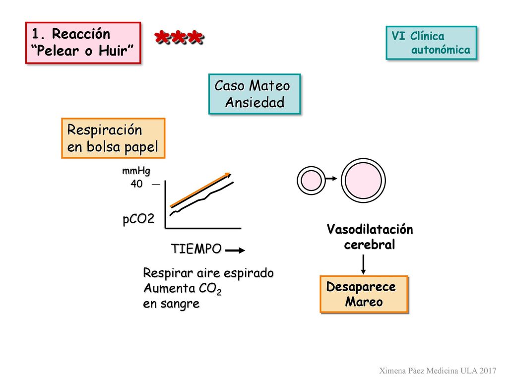 *** 1. Reacción Pelear o Huir Caso Mateo Ansiedad Respiración