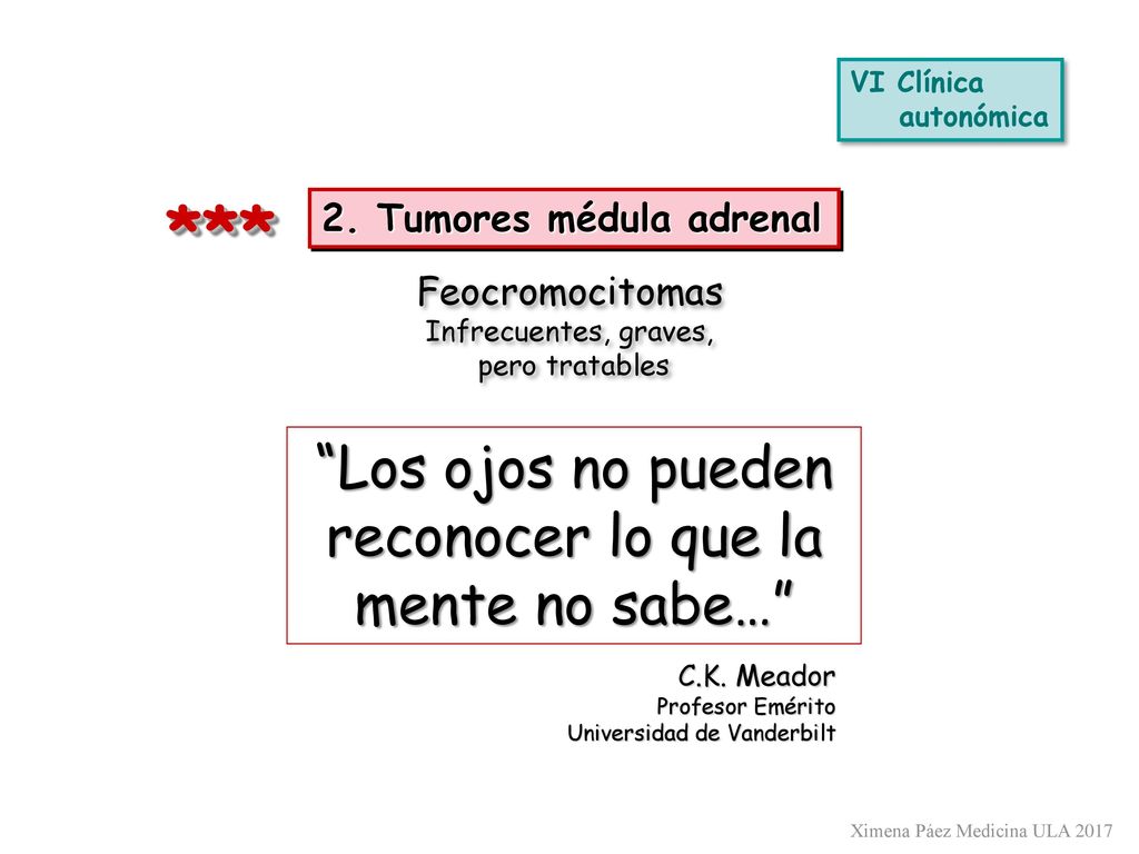 Los ojos no pueden reconocer lo que la mente no sabe…