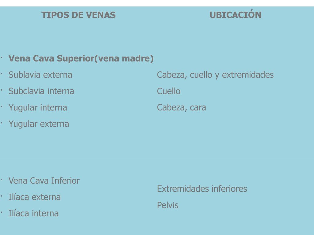 TIPOS DE VENAS UBICACIÓN. · Vena Cava Superior(vena madre) · Sublavia externa. · Subclavia interna.
