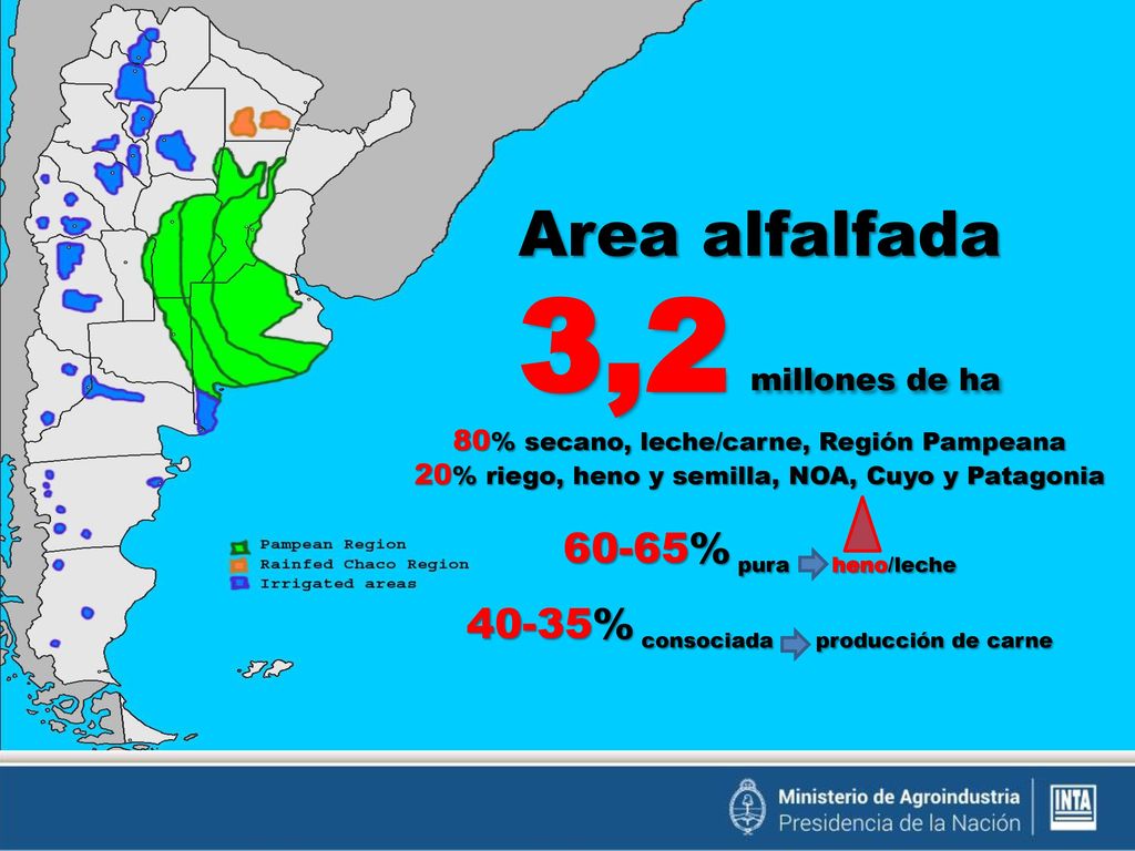 Area alfalfada 3,2 millones de ha 80% secano, leche/carne, Región Pampeana 20% riego, heno y semilla, NOA, Cuyo y Patagonia 60-65% pura heno/leche 40-35% consociada producción de carne
