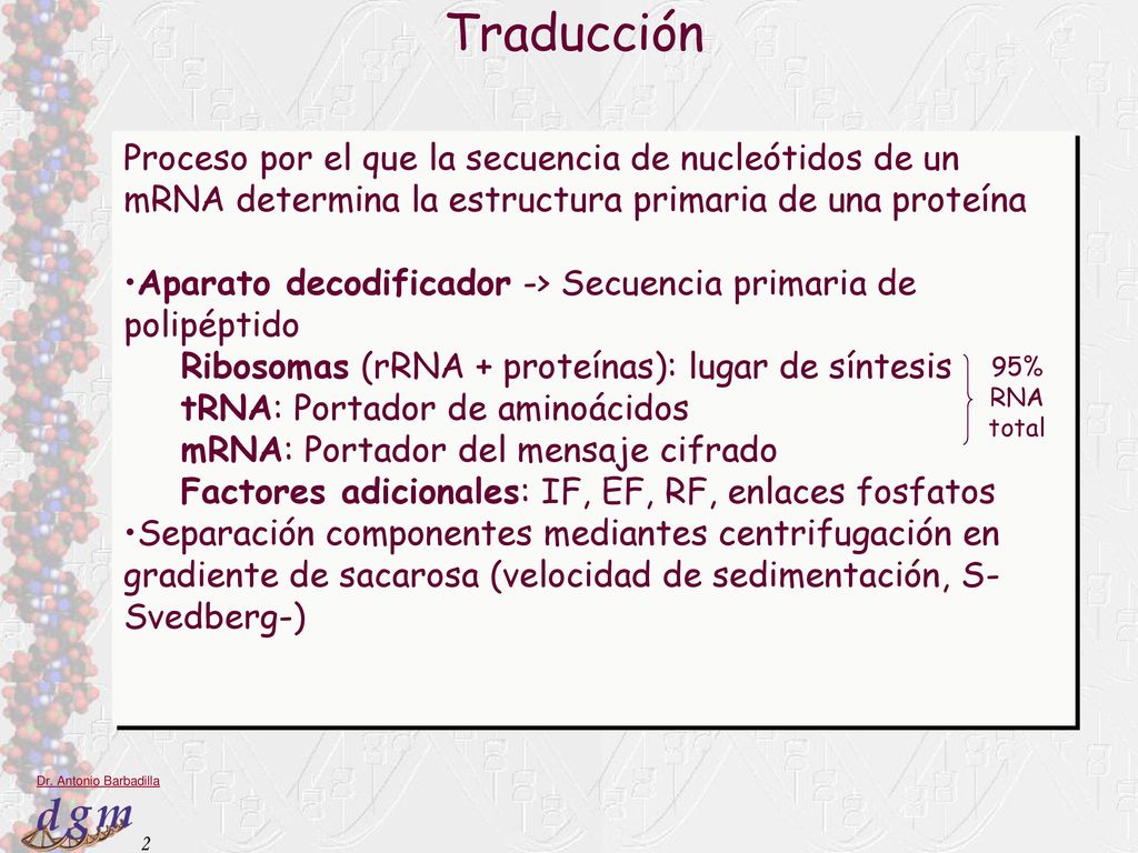 Traducción Proceso por el que la secuencia de nucleótidos de un mRNA determina la estructura primaria de una proteína.