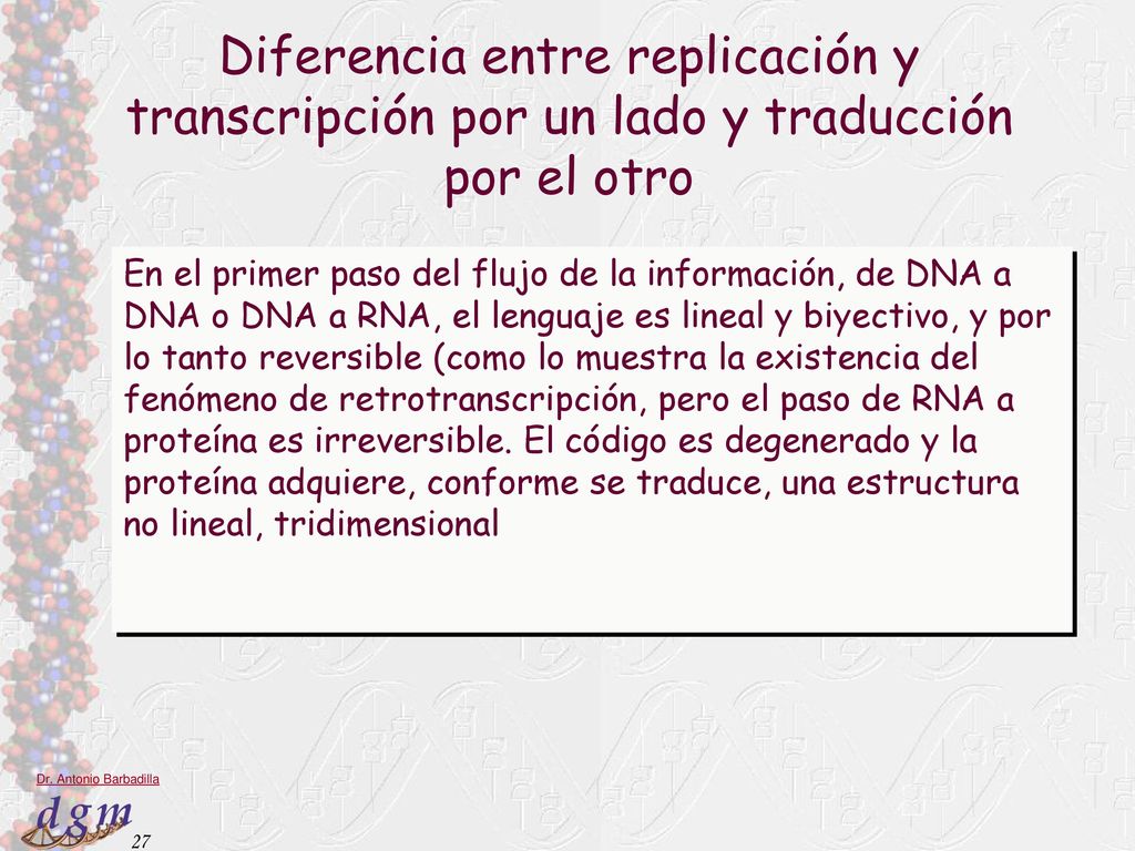 Diferencia entre replicación y transcripción por un lado y traducción por el otro