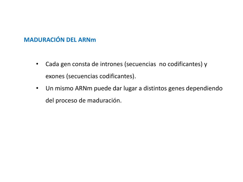 MADURACIÓN DEL ARNm Cada gen consta de intrones (secuencias no codificantes) y exones (secuencias codificantes).