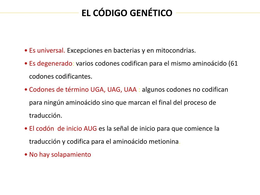 EL CÓDIGO GENÉTICO Es universal. Excepciones en bacterias y en mitocondrias.