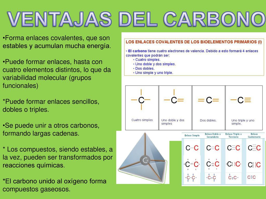 VENTAJAS DEL CARBONO Forma enlaces covalentes, que son estables y acumulan mucha energía.