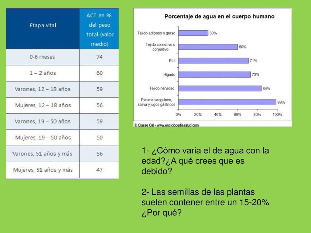 1- ¿Cómo varia el de agua con la edad ¿A qué crees que es debido
