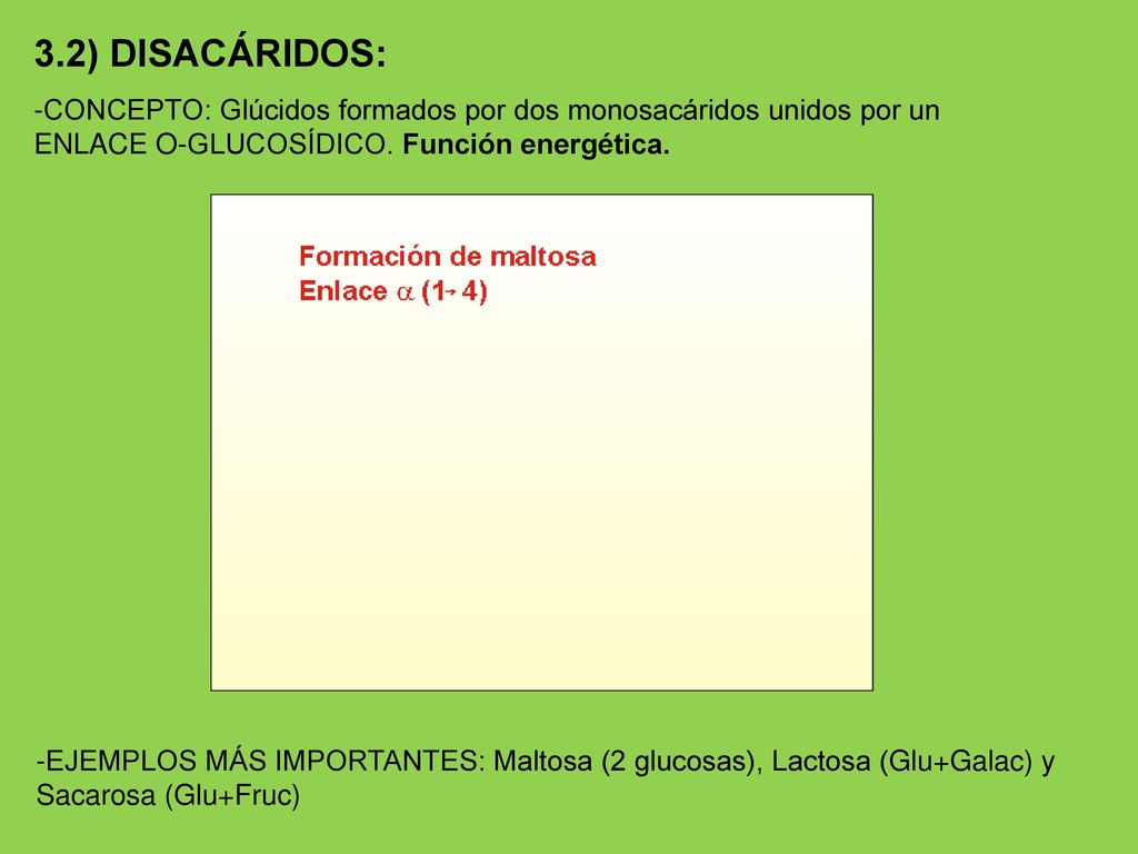 3.2) DISACÁRIDOS: -CONCEPTO: Glúcidos formados por dos monosacáridos unidos por un ENLACE O-GLUCOSÍDICO. Función energética.