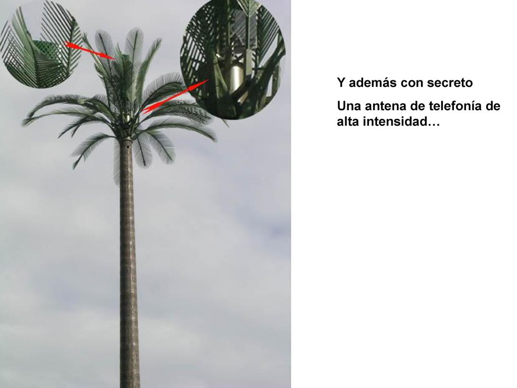 Y además con secreto Una antena de telefonía de alta intensidad…
