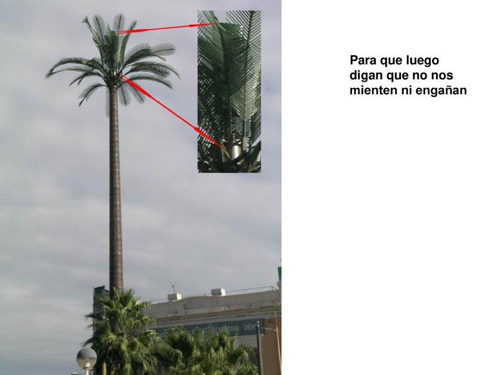 Para que luego digan que no nos mienten ni engañan