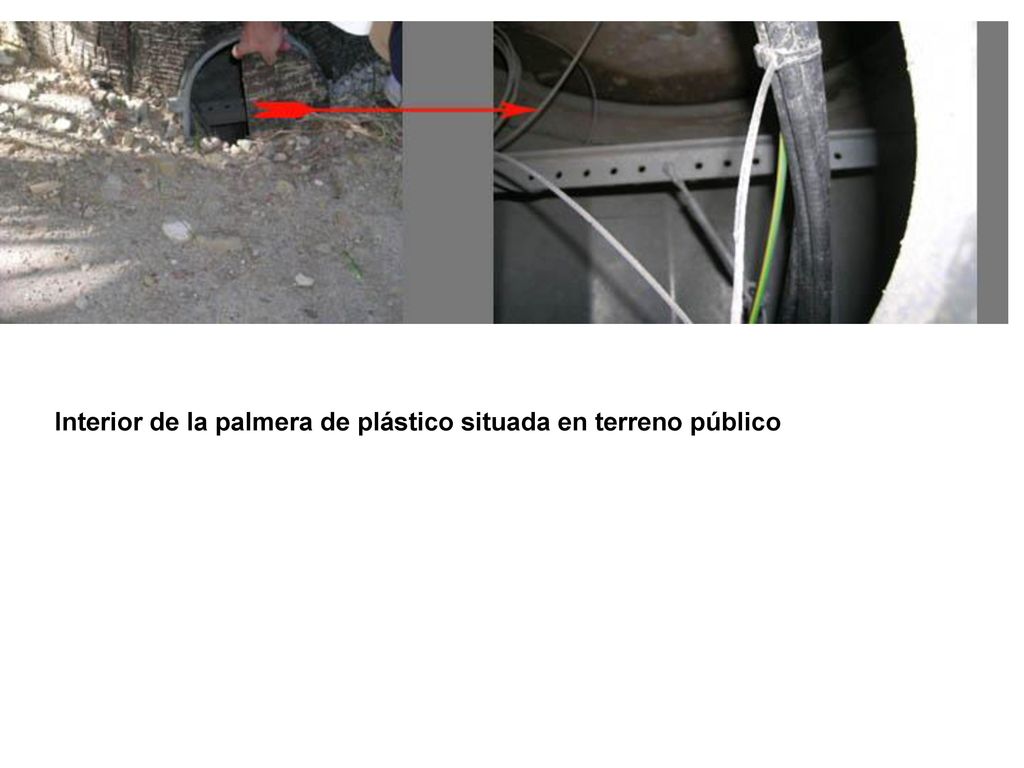 Interior de la palmera de plástico situada en terreno público