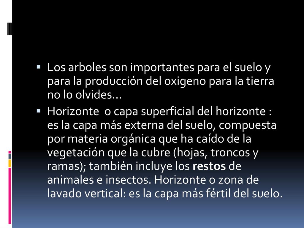 Los arboles son importantes para el suelo y para la producción del oxigeno para la tierra no lo olvides…