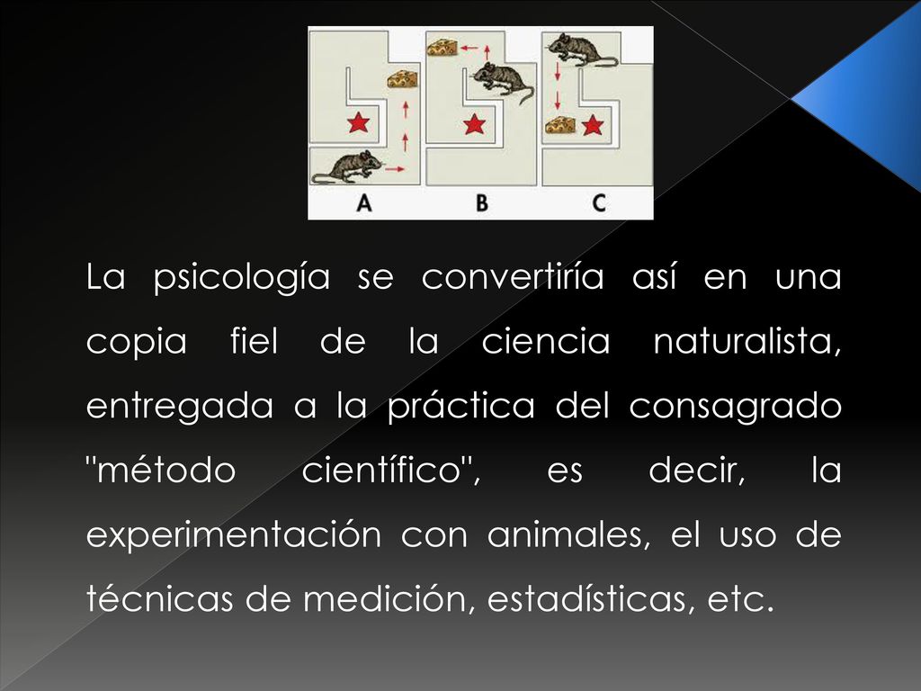 La psicología se convertiría así en una copia fiel de la ciencia naturalista, entregada a la práctica del consagrado método científico , es decir, la experimentación con animales, el uso de técnicas de medición, estadísticas, etc.