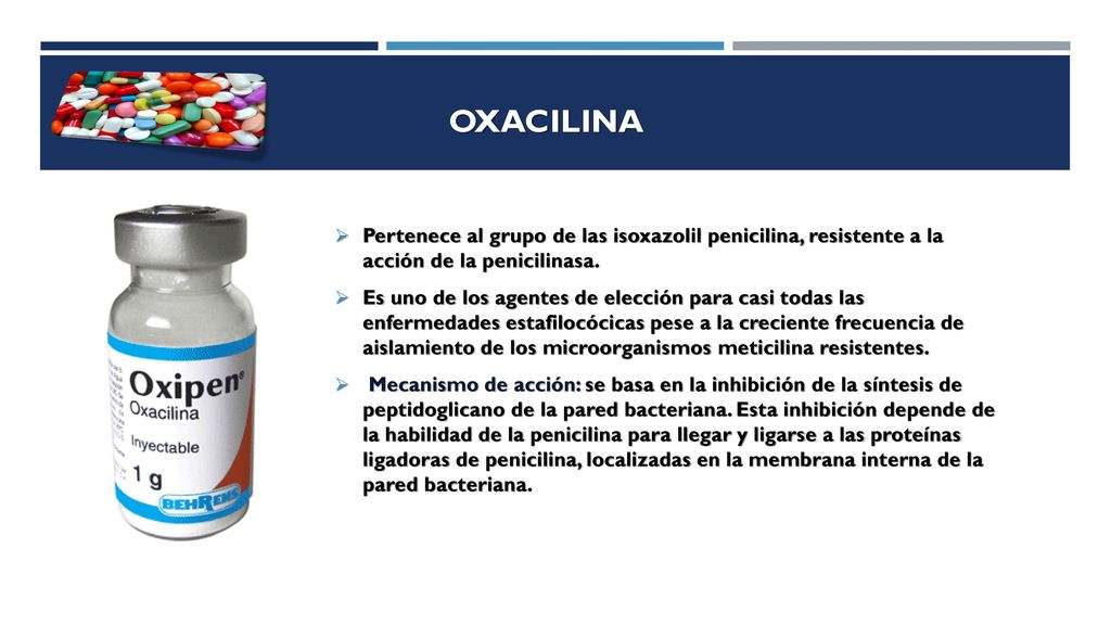 OXACILINA Pertenece al grupo de las isoxazolil penicilina, resistente a la acción de la penicilinasa.