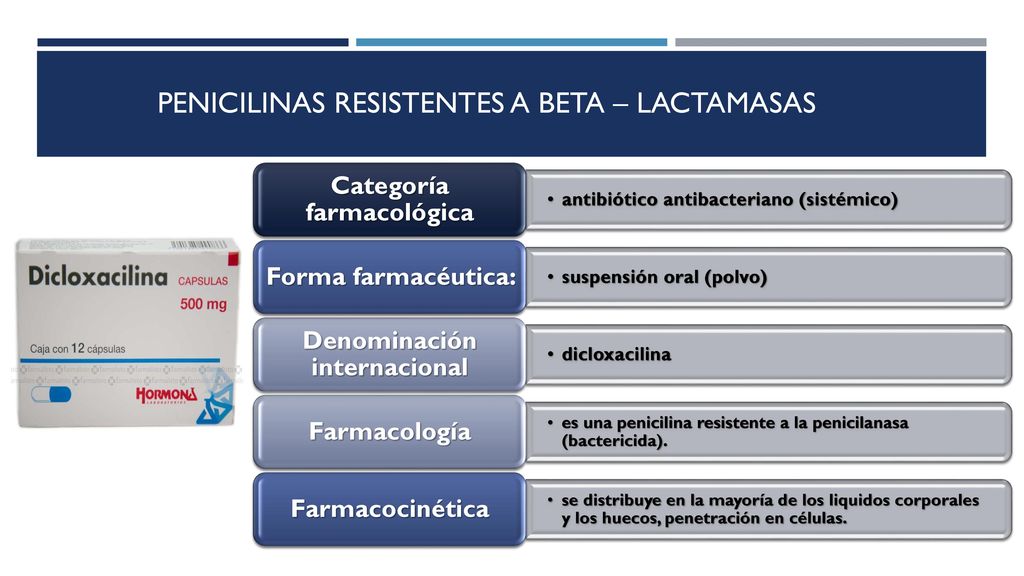 Antibioticos Ss Lactamicos Ppt Descargar