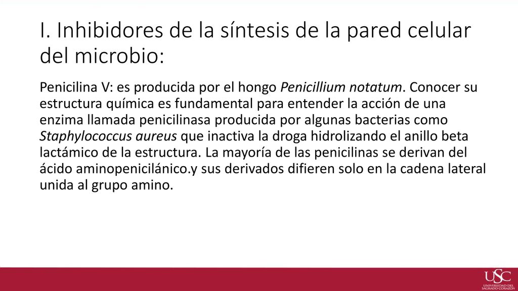 I. Inhibidores de la síntesis de la pared celular del microbio:
