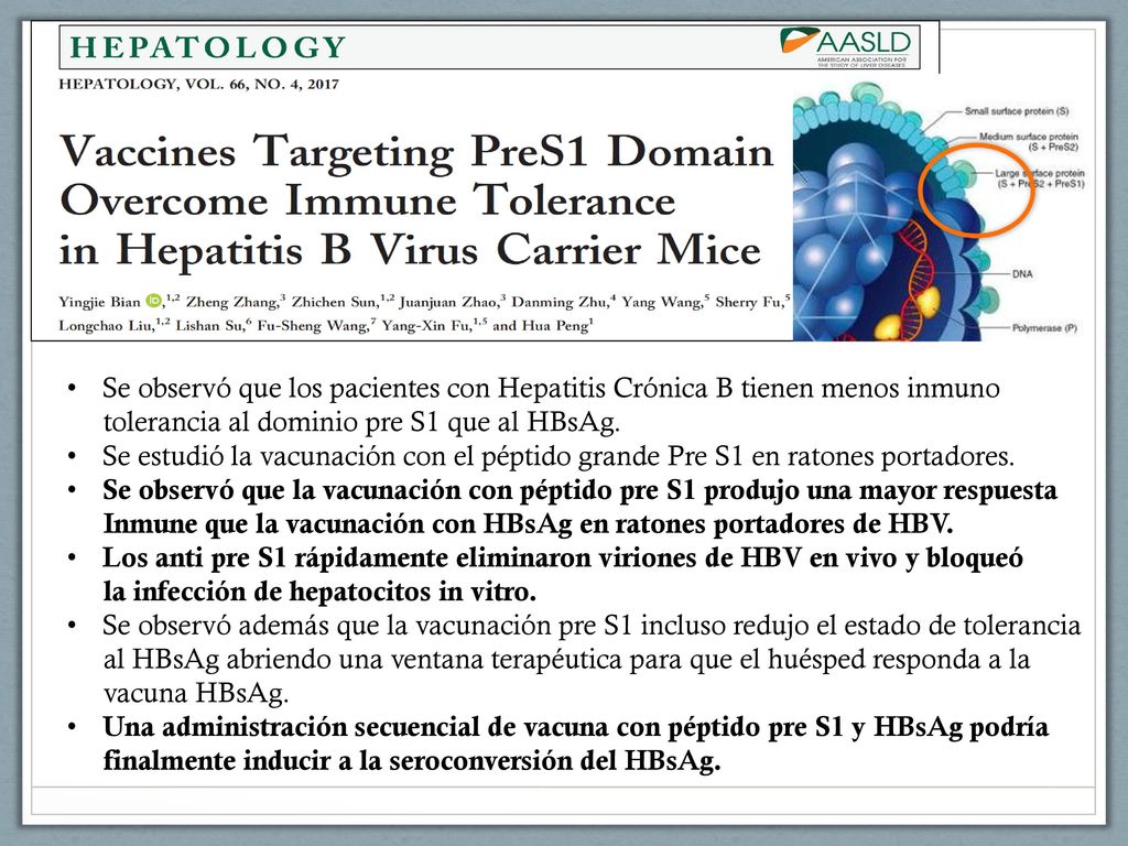 Se observó que los pacientes con Hepatitis Crónica B tienen menos inmuno