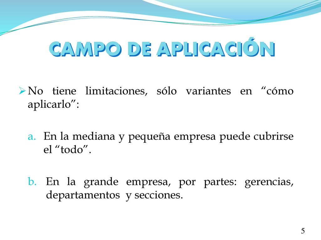 CAMPO DE APLICACIÓN No tiene limitaciones, sólo variantes en cómo aplicarlo : En la mediana y pequeña empresa puede cubrirse el todo .