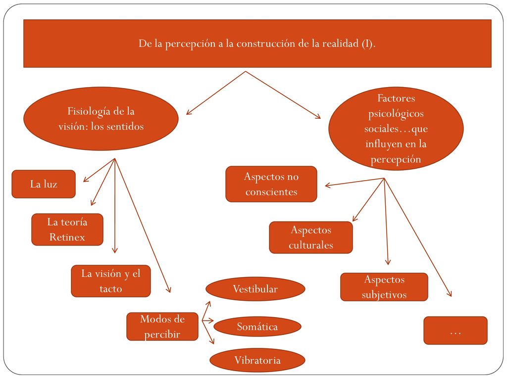 De la percepción a la construcción de la realidad (I).