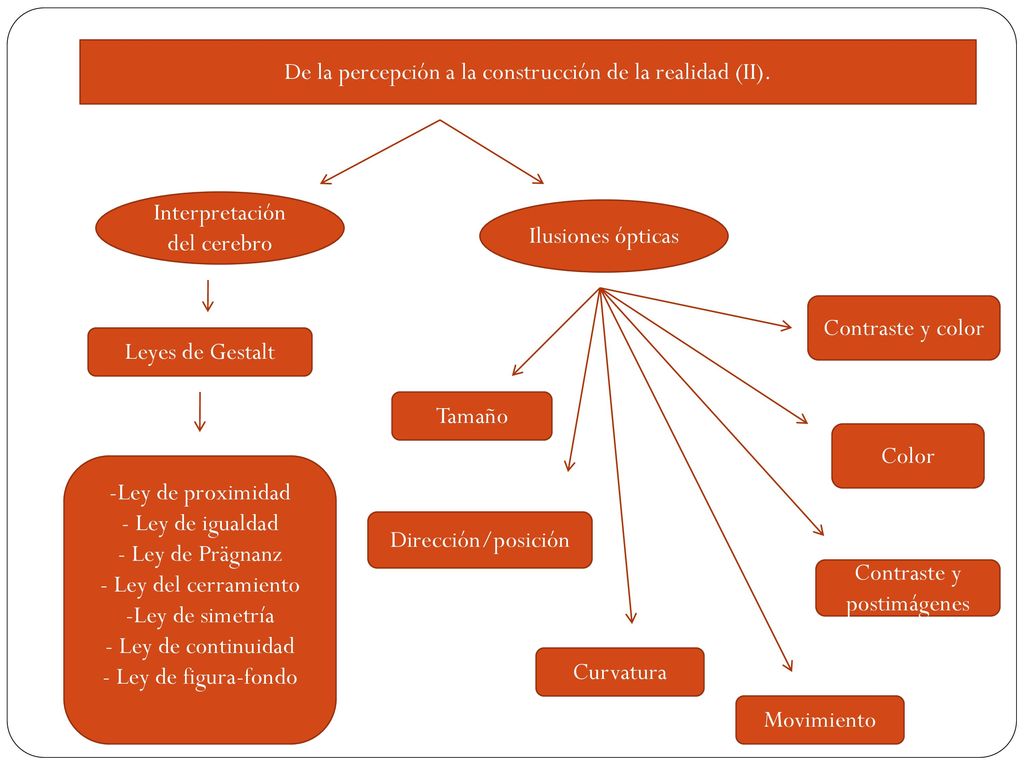 De la percepción a la construcción de la realidad (II).