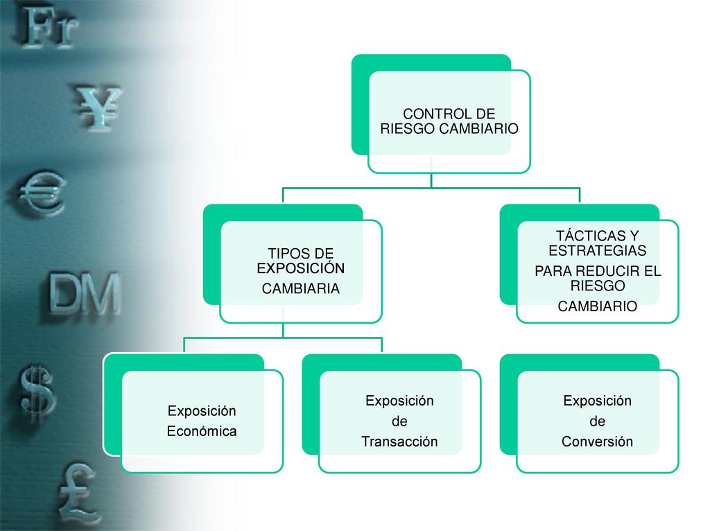 CONTROL DE RIESGO CAMBIARIO TIPOS DE EXPOSICIÓN CAMBIARIA Económica