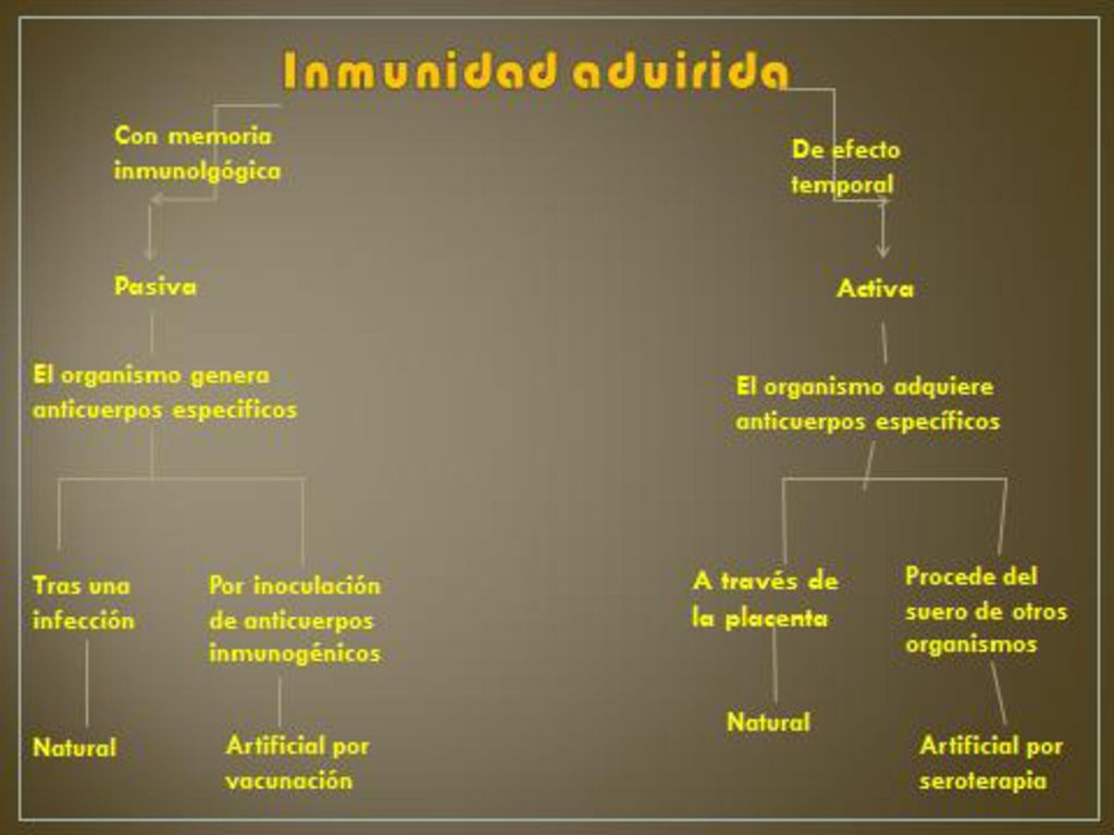 Conjunto de células, moléculas y sustancias que protegen al organismo contra las enfermedades.