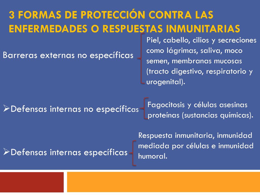 3 formas de protección contra las enfermedades o respuestas inmunitarias