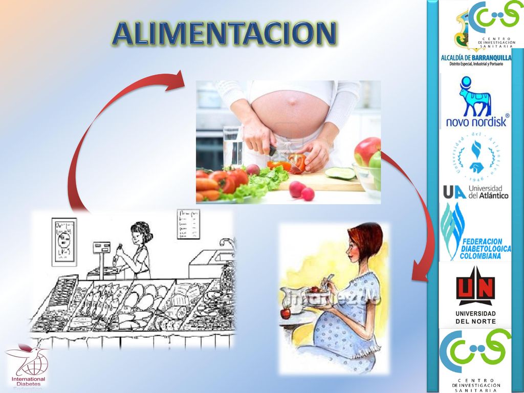 ALIMENTACION La alimentación consiste en la obtención, preparación e ingestión de alimentos.