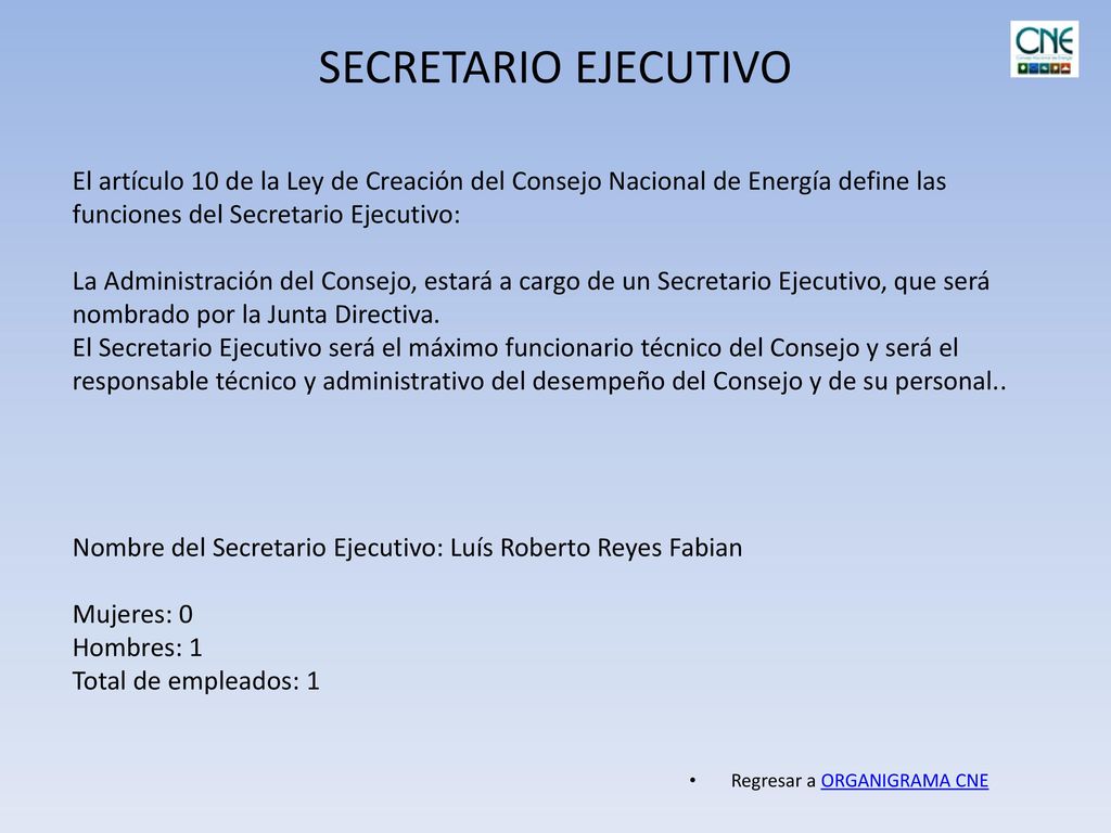SECRETARIO EJECUTIVO El artículo 10 de la Ley de Creación del Consejo Nacional de Energía define las funciones del Secretario Ejecutivo: