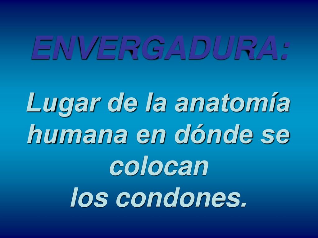 Lugar de la anatomía humana en dónde se colocan los condones.