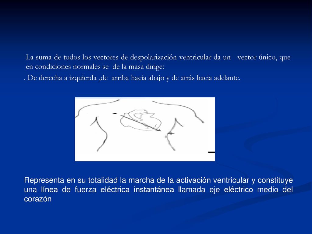 La suma de todos los vectores de despolarización ventricular da un vector único, que en condiciones normales se de la masa dirige: