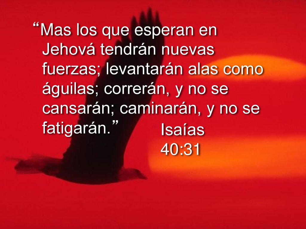 Mas los que esperan en Jehová tendrán nuevas fuerzas; levantarán alas como águilas; correrán, y no se cansarán; caminarán, y no se fatigarán.