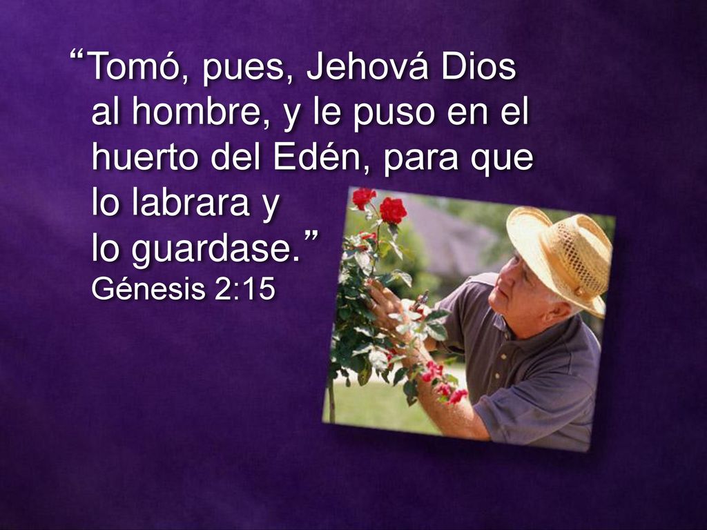 Tomó, pues, Jehová Dios al hombre, y le puso en el huerto del Edén, para que lo labrara y lo guardase. Génesis 2:15