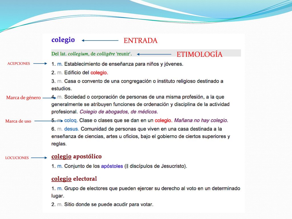 ENTRADA ETIMOLOGÍA ACEPCIONES Marca de género Marca de uso LOCUCIONES