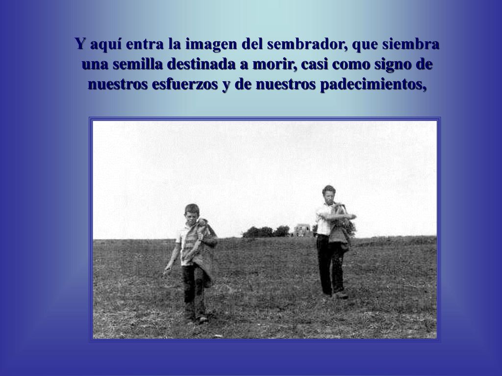 Y aquí entra la imagen del sembrador, que siembra una semilla destinada a morir, casi como signo de nuestros esfuerzos y de nuestros padecimientos,